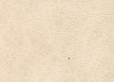 Lenov Bone de Sofá Cama de Gicovate